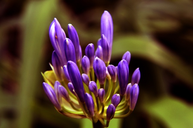 客场进球数 客场进球数