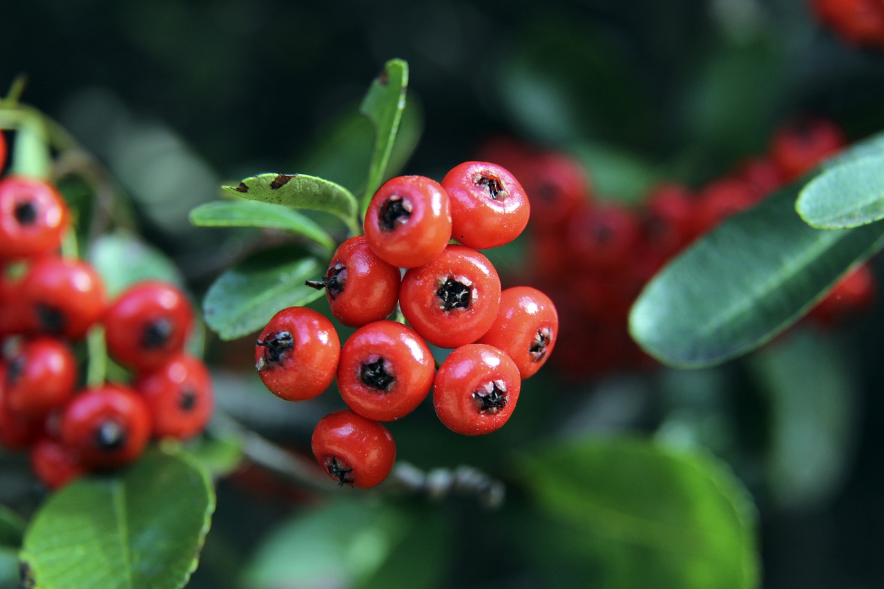 游泳短池世 游泳短池世
