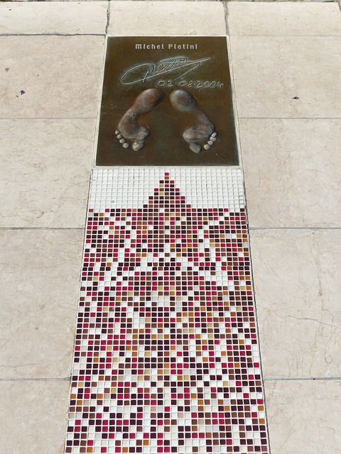 新星选手何 新星选手何